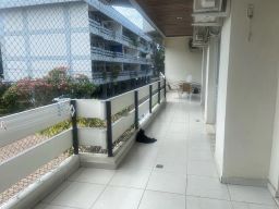 https://img.olx.com.br/thumbs256x256/64/647428901998872.jpg