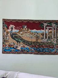https://img.olx.com.br/thumbs256x256/64/647510273889015.jpg