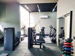 https://img.olx.com.br/thumbs256x256/64/647556279050949.jpg