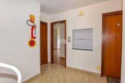 https://img.olx.com.br/thumbs256x256/64/647583036204010.jpg