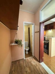 https://img.olx.com.br/thumbs256x256/64/648533527645155.jpg