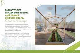 https://img.olx.com.br/thumbs256x256/64/648565513914911.jpg