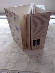https://img.olx.com.br/thumbs256x256/64/649439887361077.jpg