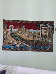 https://img.olx.com.br/thumbs256x256/64/649505515608324.jpg