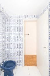 https://img.olx.com.br/thumbs256x256/64/649588647857175.jpg