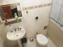 https://img.olx.com.br/thumbs256x256/65/650560391672681.jpg