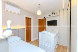 https://img.olx.com.br/thumbs256x256/65/650571281314135.jpg