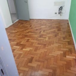https://img.olx.com.br/thumbs256x256/65/652475700921496.jpg