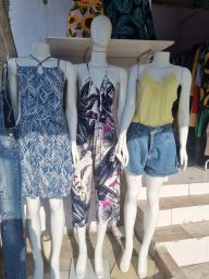 https://img.olx.com.br/thumbs256x256/65/652573639135582.jpg