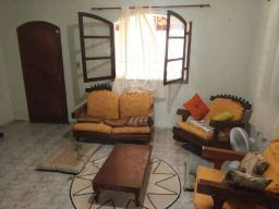 https://img.olx.com.br/thumbs256x256/65/652589519416556.jpg
