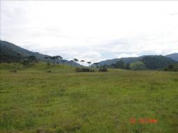 Título do anúncio: Linda Fazenda bem próxima da Cidade 350 hectares com pastagem e plantação de pinus: