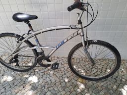 https://img.olx.com.br/thumbs256x256/65/653511131829236.jpg