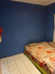 https://img.olx.com.br/thumbs256x256/65/653549279445137.jpg