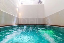 https://img.olx.com.br/thumbs256x256/65/653581632986000.jpg