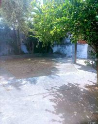 https://img.olx.com.br/thumbs256x256/65/654508641156181.jpg