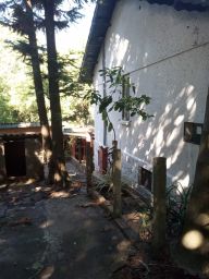 https://img.olx.com.br/thumbs256x256/65/654572764853230.jpg