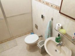 https://img.olx.com.br/thumbs256x256/65/655547758283635.jpg