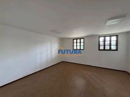 https://img.olx.com.br/thumbs256x256/65/655571649406418.jpg
