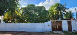 https://img.olx.com.br/thumbs256x256/65/655597647728008.jpg
