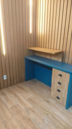 https://img.olx.com.br/thumbs256x256/65/656532169882327.jpg