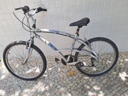 https://img.olx.com.br/thumbs256x256/65/657536737510626.jpg