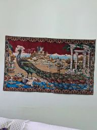 https://img.olx.com.br/thumbs256x256/65/658536039641305.jpg