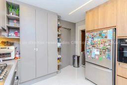 https://img.olx.com.br/thumbs256x256/65/658551647330912.jpg