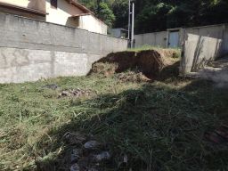 https://img.olx.com.br/thumbs256x256/65/658562528792188.jpg