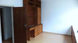 https://img.olx.com.br/thumbs256x256/65/658566743639726.jpg