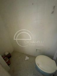 https://img.olx.com.br/thumbs256x256/65/659551764060637.jpg