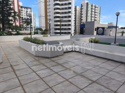 https://img.olx.com.br/thumbs256x256/65/659558168915545.jpg