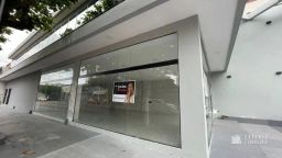 https://img.olx.com.br/thumbs256x256/65/659579521895249.jpg