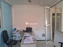 https://img.olx.com.br/thumbs256x256/66/660570165703436.jpg