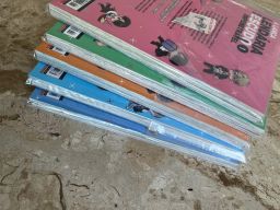 https://img.olx.com.br/thumbs256x256/66/660653191327786.jpg