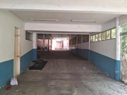 https://img.olx.com.br/thumbs256x256/66/661543403033884.jpg