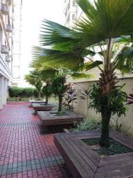 https://img.olx.com.br/thumbs256x256/66/661547167875844.jpg