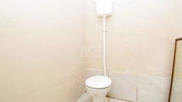 https://img.olx.com.br/thumbs256x256/66/661549765267340.jpg