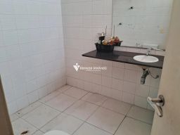 https://img.olx.com.br/thumbs256x256/66/661582404911908.jpg