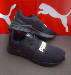 https://img.olx.com.br/thumbs256x256/66/662598754750076.jpg