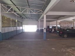 https://img.olx.com.br/thumbs256x256/66/663556528152267.jpg