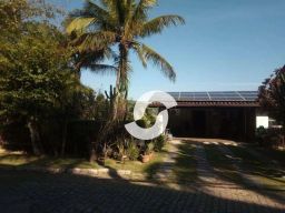 https://img.olx.com.br/thumbs256x256/66/663563169391926.jpg