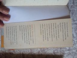 https://img.olx.com.br/thumbs256x256/66/663568495810287.jpg