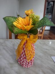 https://img.olx.com.br/thumbs256x256/66/664459507623833.jpg