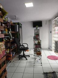 https://img.olx.com.br/thumbs256x256/66/664590522524902.jpg