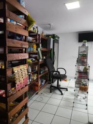 https://img.olx.com.br/thumbs256x256/66/665527407568114.jpg
