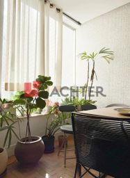 https://img.olx.com.br/thumbs256x256/66/665586511357607.jpg
