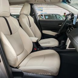https://img.olx.com.br/thumbs256x256/66/667618784922447.jpg