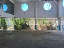 https://img.olx.com.br/thumbs256x256/66/668503647950038.jpg
