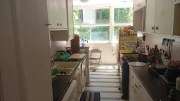 https://img.olx.com.br/thumbs256x256/66/668550274961424.jpg