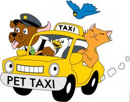 Título do anúncio: Suzi TaxiPet TaxiDog